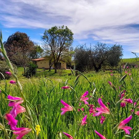 Agriturismo La Sorgente 方特布兰达 外观 照片