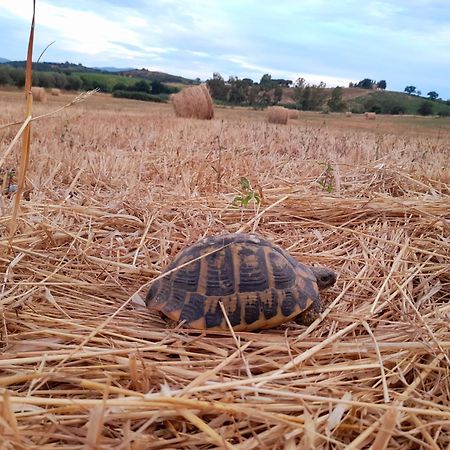 Agriturismo La Sorgente 方特布兰达 外观 照片