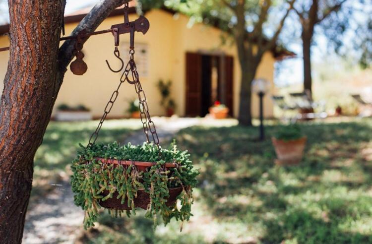 Agriturismo La Sorgente 方特布兰达 外观 照片
