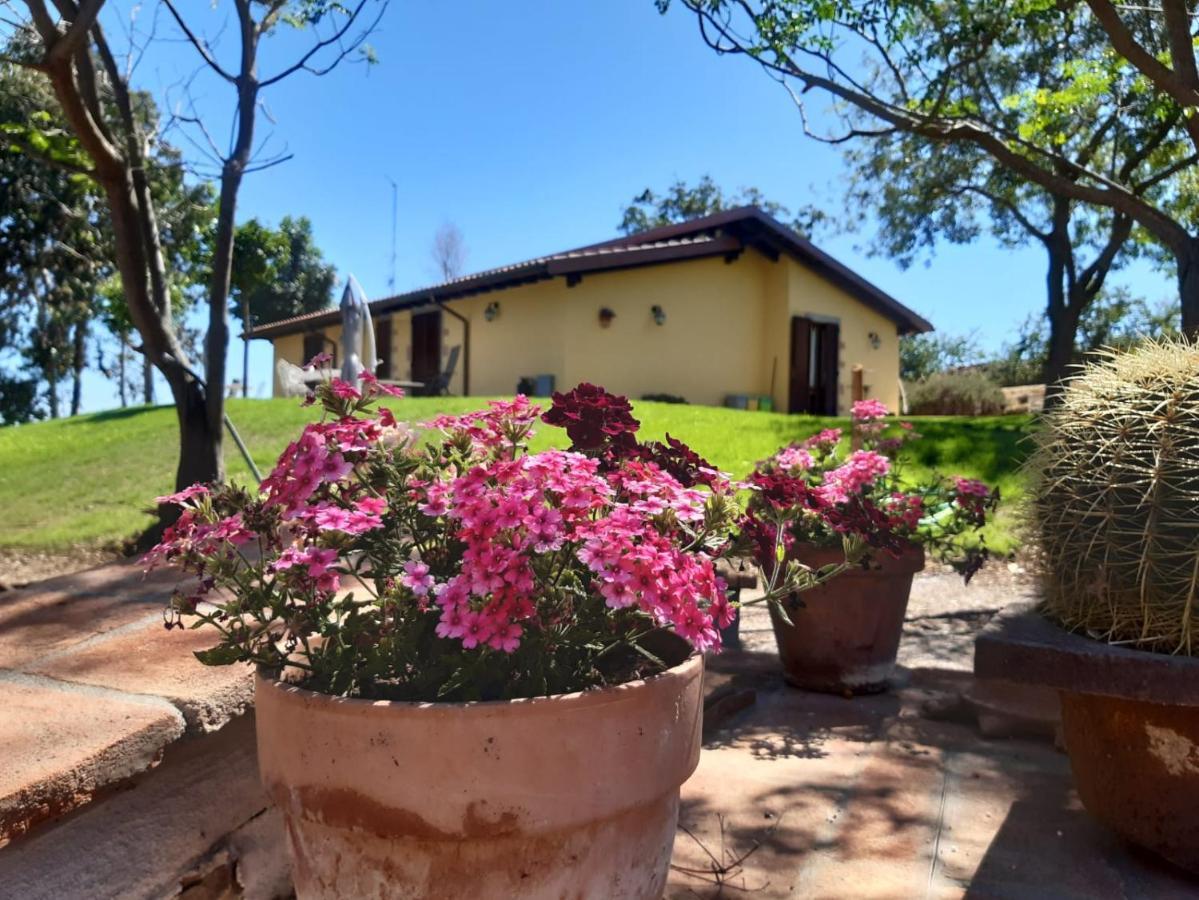 Agriturismo La Sorgente 方特布兰达 外观 照片