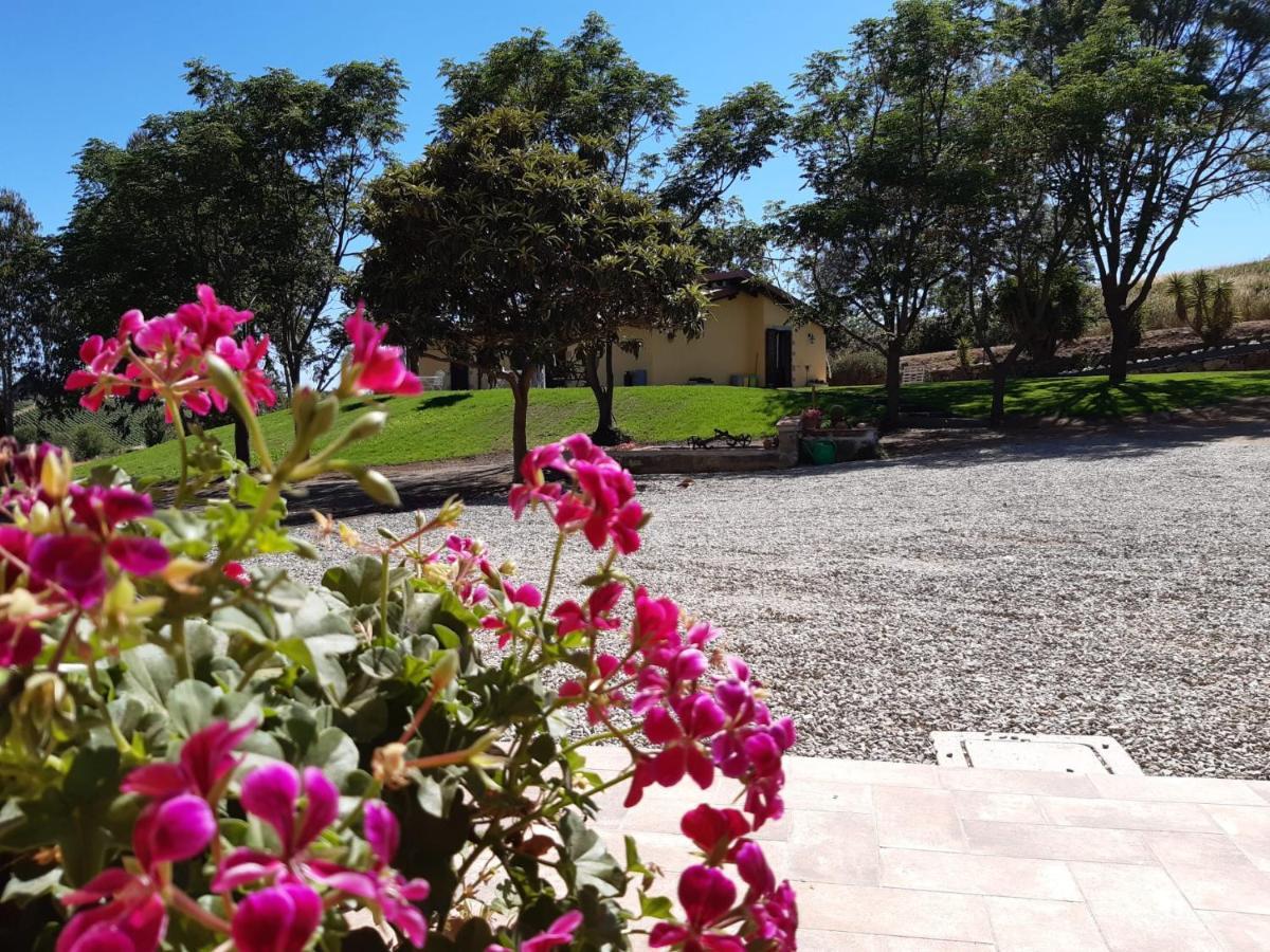 Agriturismo La Sorgente 方特布兰达 外观 照片