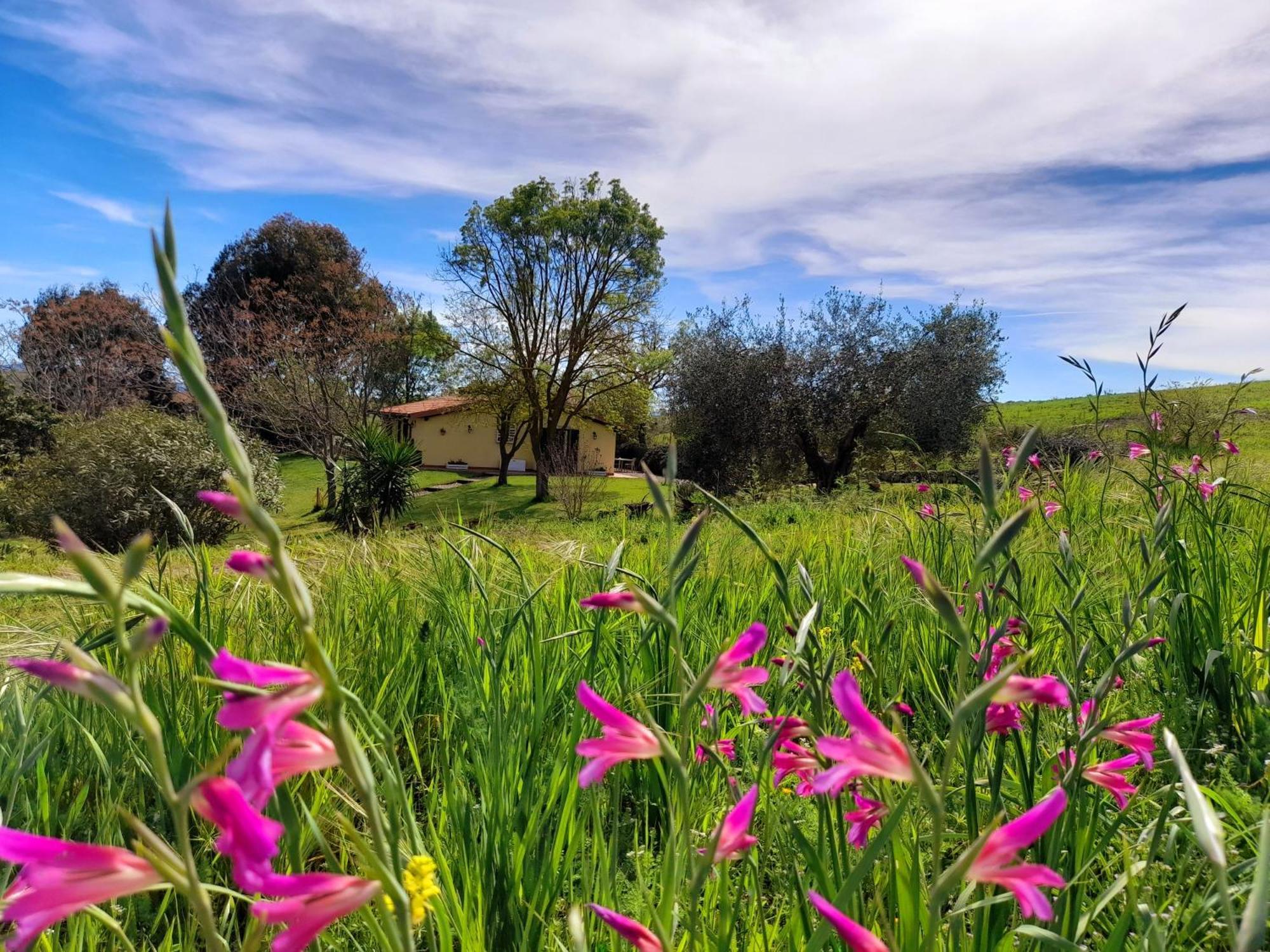 Agriturismo La Sorgente 方特布兰达 外观 照片