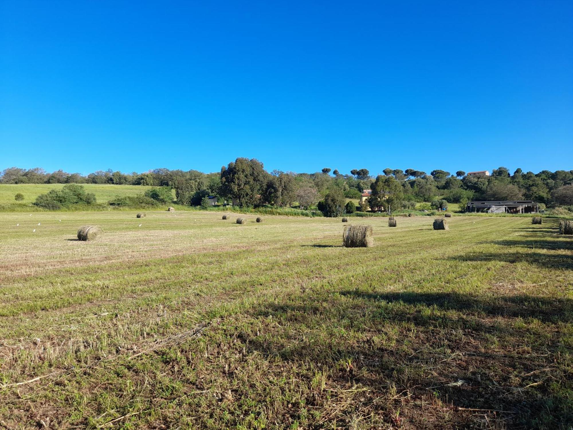 Agriturismo La Sorgente 方特布兰达 外观 照片